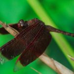 蒙特卡罗赌城官网全面导航注册登录与账户管理指南 kg0cvl4ks