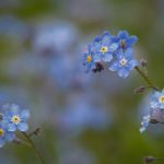 CCTV-3综艺频道高清在线直播观看入口 nb604zq5lc