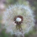 菠菜导航的未来发展趋势,技术创新如何改变用户体验 oqnpw