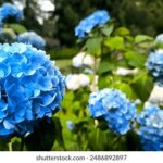 《当年情》直播重温银幕经典岁月 mx8x99i